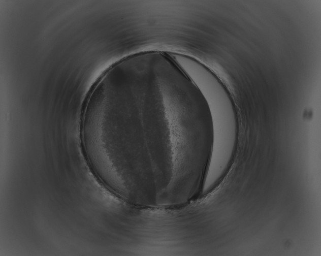 X0000091460896200708301828