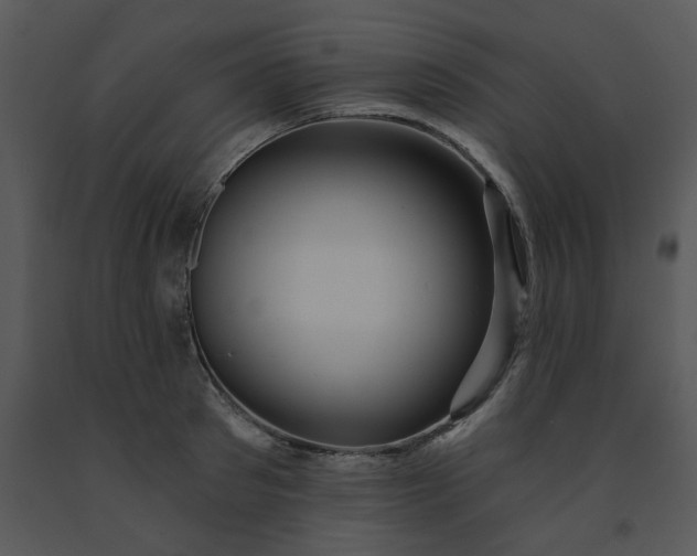 X0000091460897200708301828