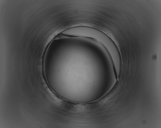 X0000091460898200708301828