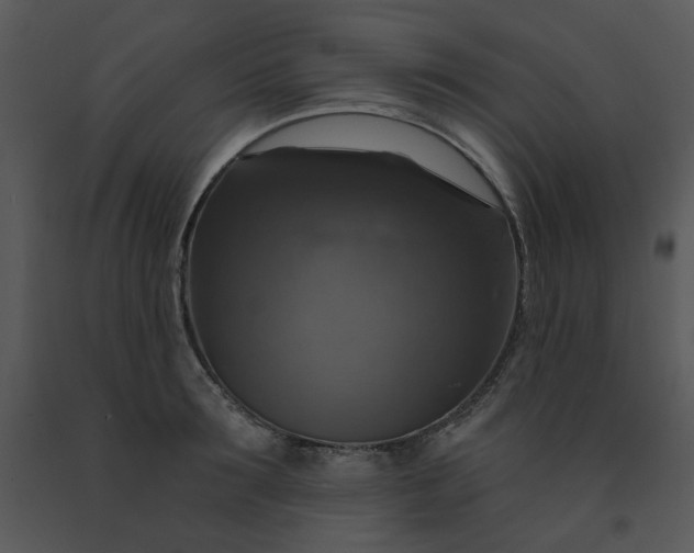 X0000091460899200708301828