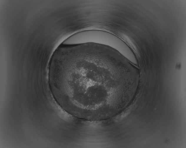 X0000091460900200708301828