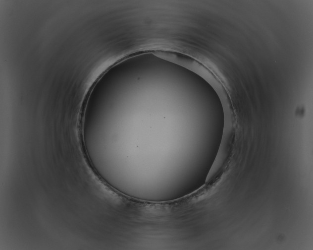 X0000091460901200708301828