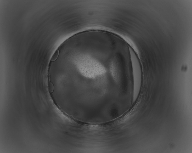 X0000091460903200708301828