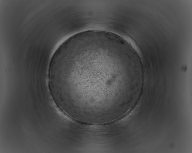 X0000091460904200708301828