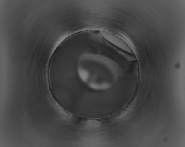 X0000091460907200708301828