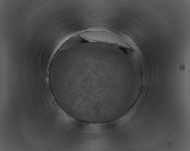 X0000091460908200708301828