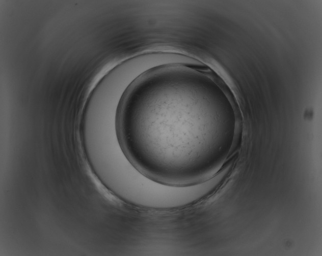 X0000091460909200708301828