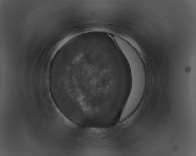 X0000091460910200708301828