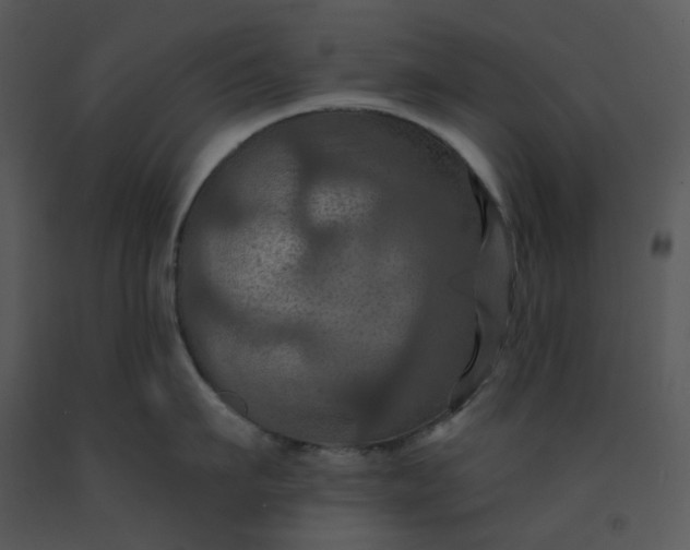 X0000091460911200708301828