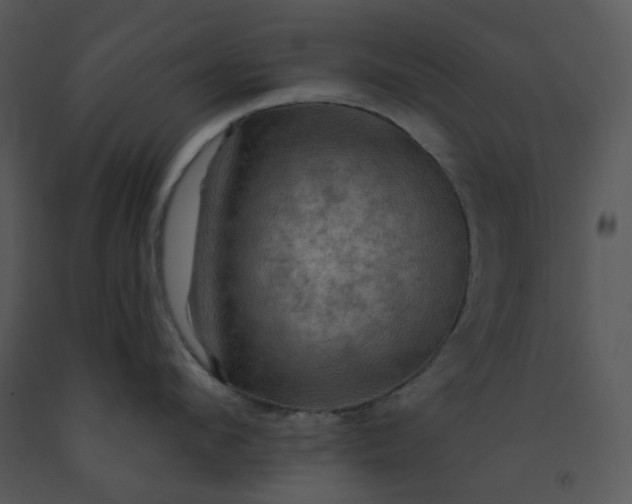 X0000091460912200708301828