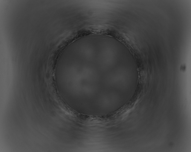 X0000091460913200708301828