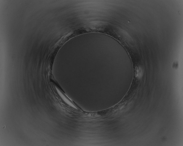 X0000091460915200708301828