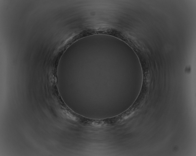 X0000091460916200708301828