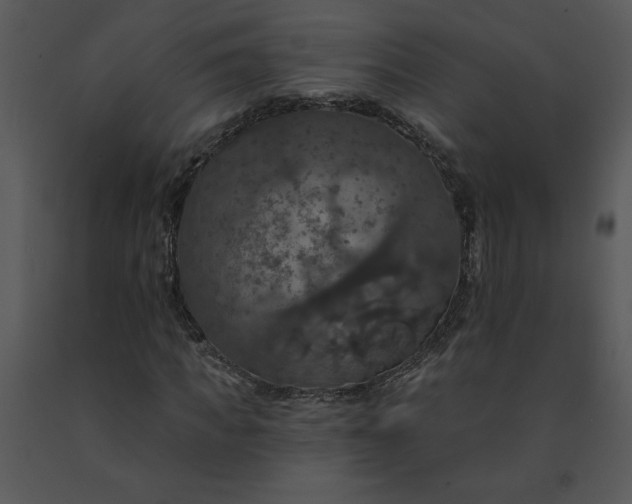 X0000091460917200708301828