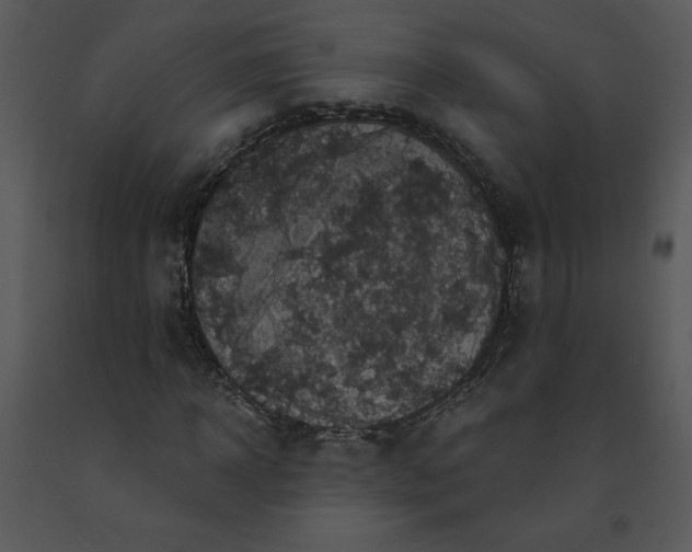 X0000091460918200708301828