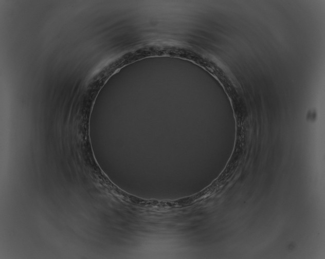 X0000091460919200708301828