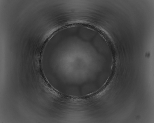 X0000091460921200708301828