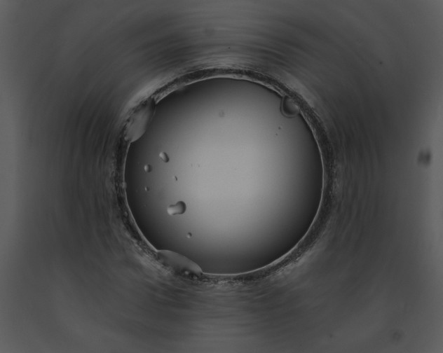 X0000091460922200708301828