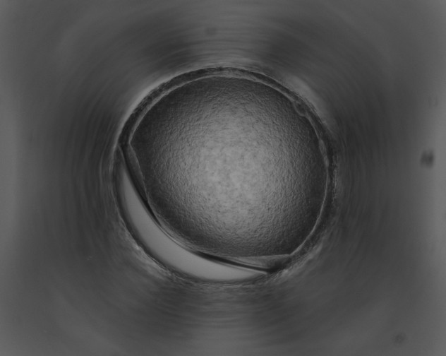 X0000091460924200708301828