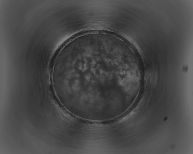 X0000091460925200708301828