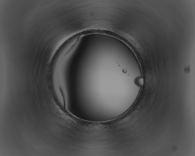 X0000091460926200708301828