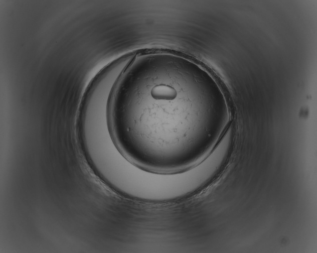 X0000091460928200708301828