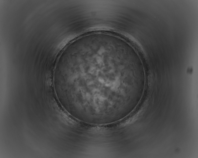 X0000091460929200708301828