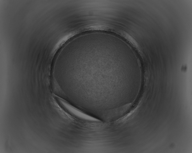 X0000091460930200708301828