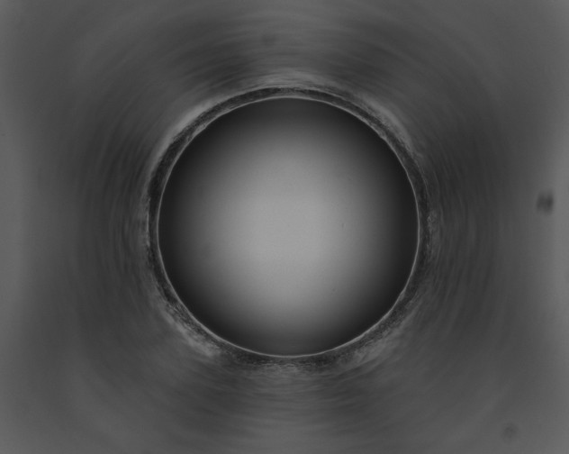 X0000091460931200708301828