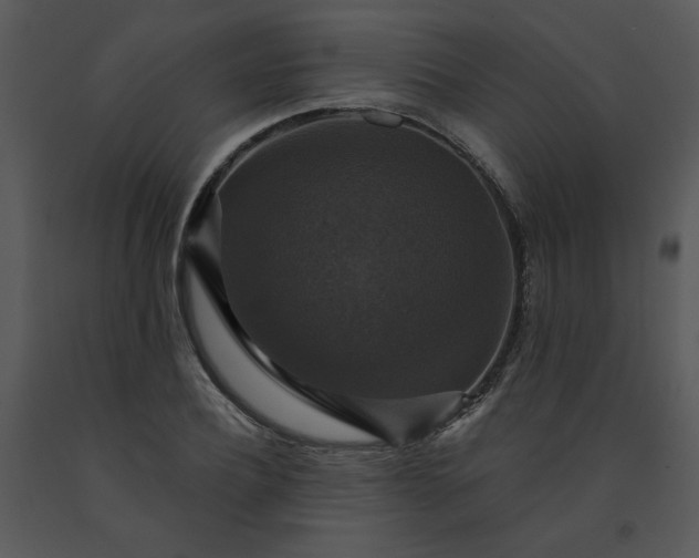 X0000091460932200708301828