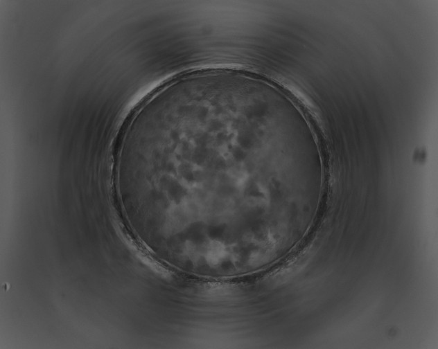 X0000091460933200708301828