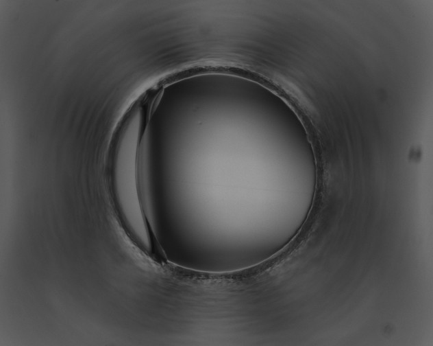 X0000091460934200708301828