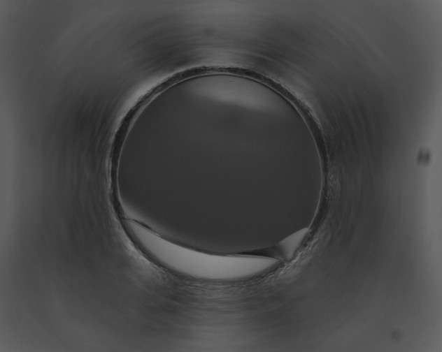 X0000091460935200708301828