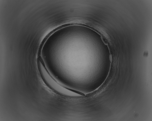 X0000091460936200708301828