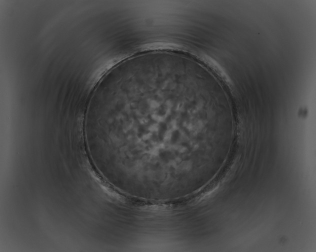 X0000091460937200708301828