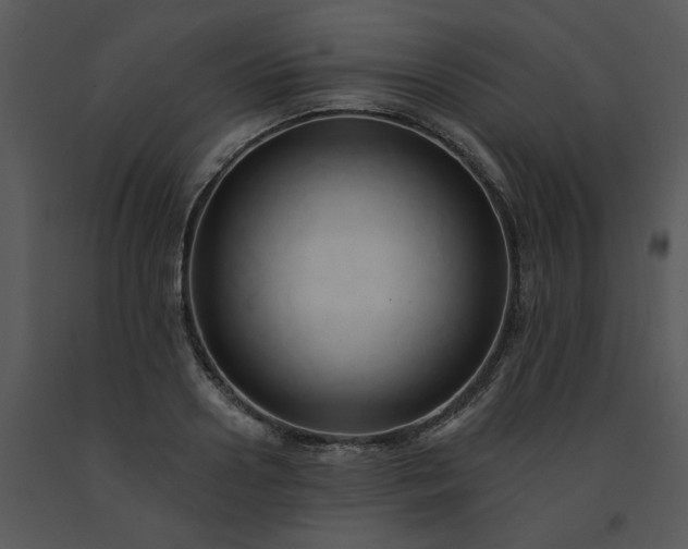 X0000091460938200708301828