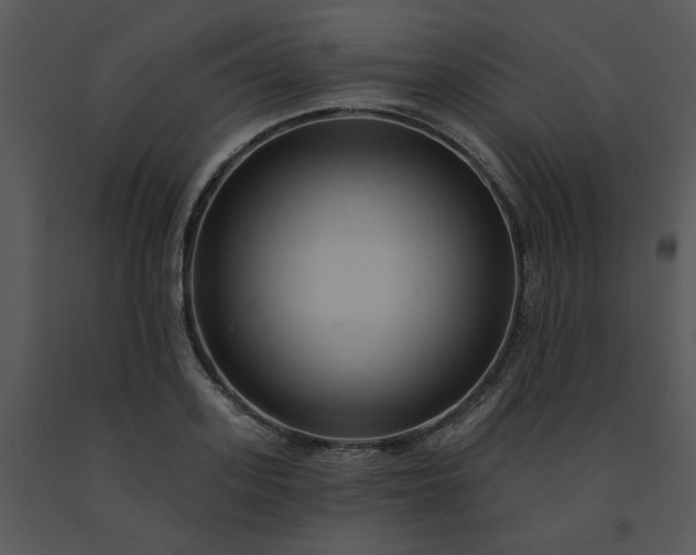 X0000091460939200708301828