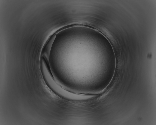 X0000091460940200708301828