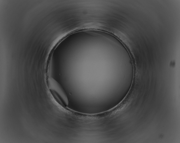 X0000091460941200708301828