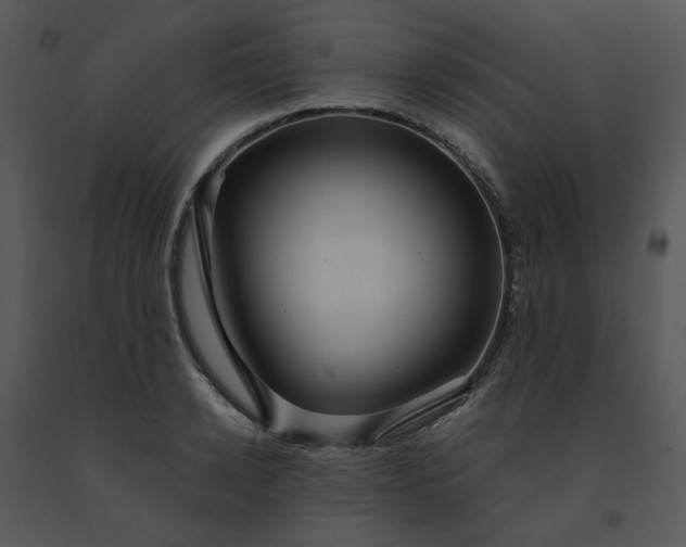 X0000091460942200708301828