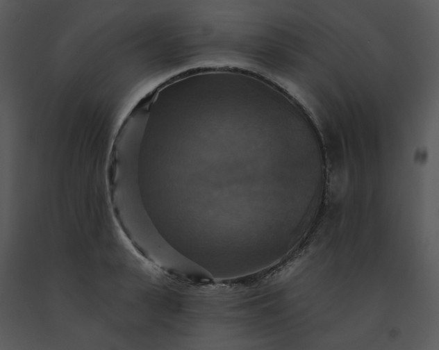 X0000091460943200708301828