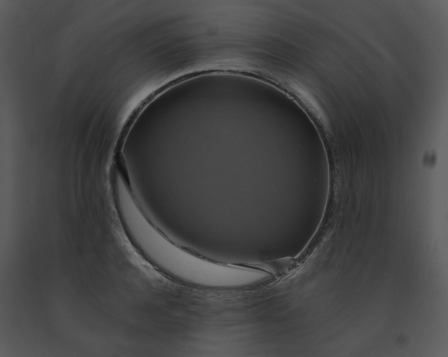 X0000091460944200708301828