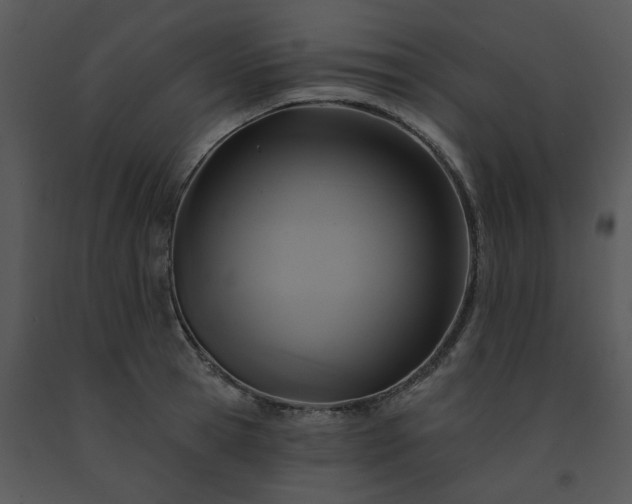 X0000091460945200708301828