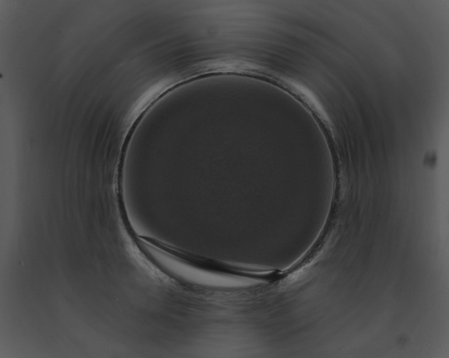 X0000091460946200708301828