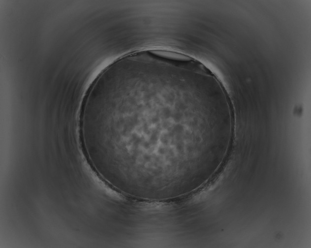 X0000091460949200708301828