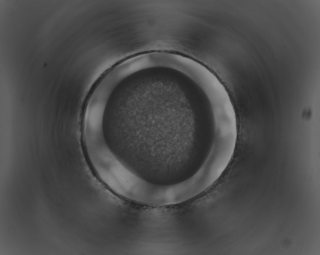 X0000091460950200708301828