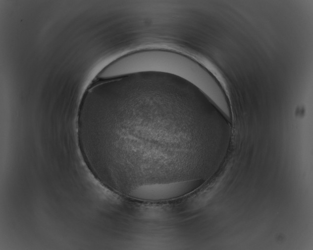 X0000091460951200708301828