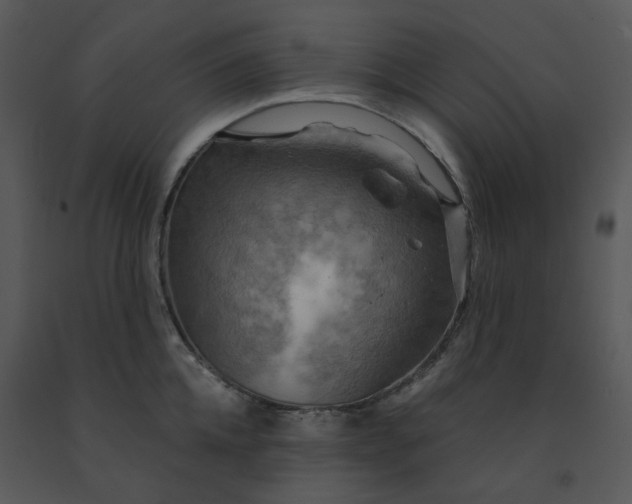 X0000091460952200708301828