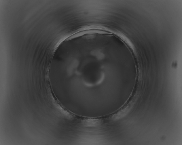 X0000091460953200708301828