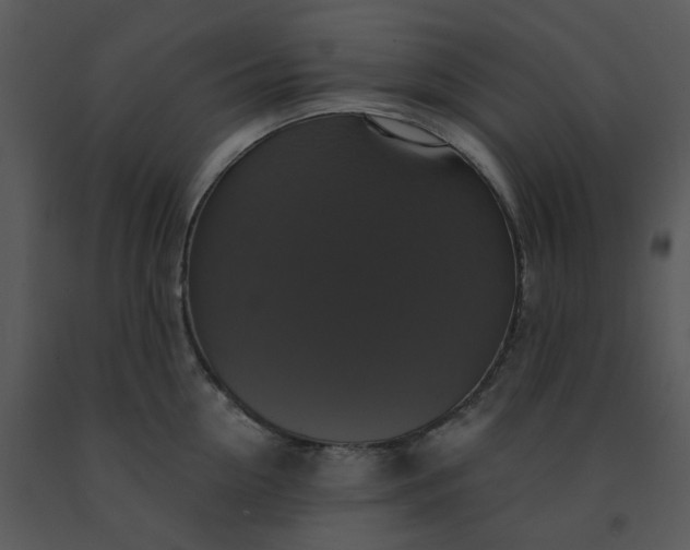 X0000091460954200708301828